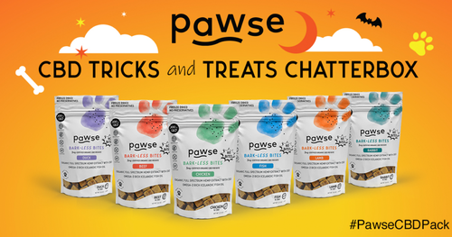Apply to be a Pawse CBD Tricks and Treats Chatterbox with Ripple Street